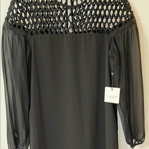 NWT Black dress with sheer sleeves and net detail on chest and shoulders